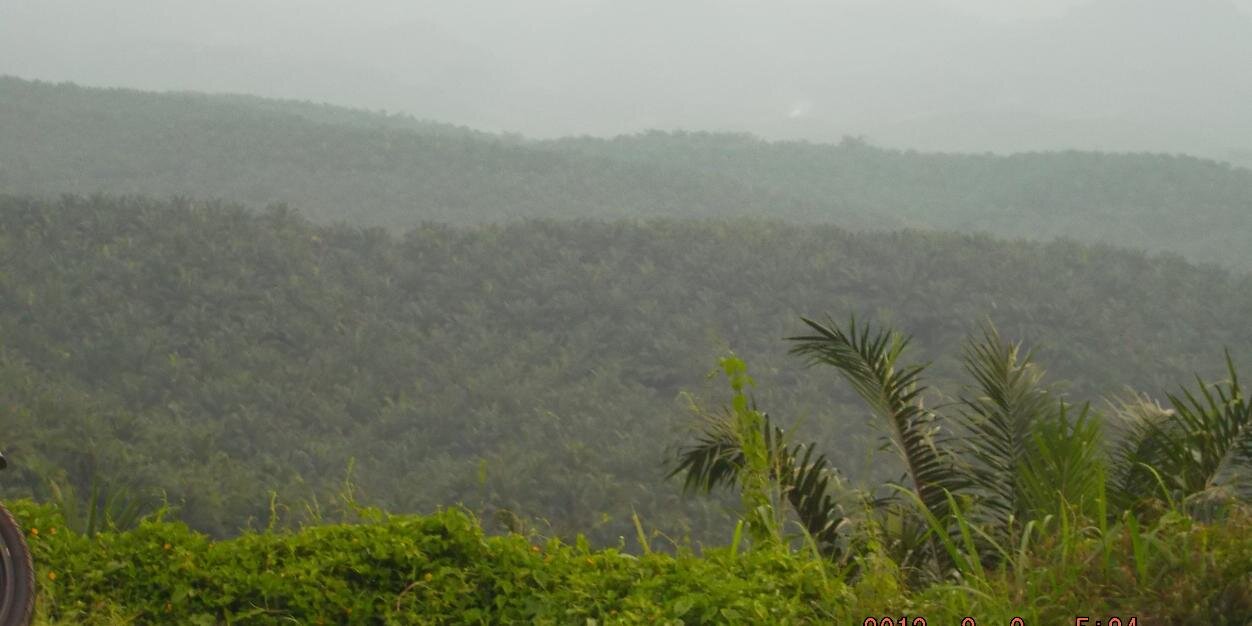 riskafitri07's profile banner image
