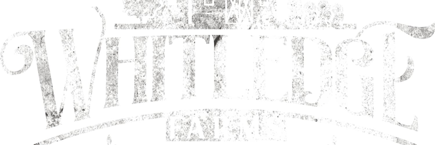ColbyWhitledge's profile banner image