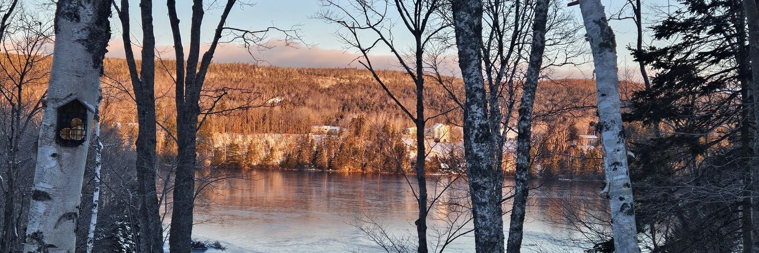 DanVachon3's profile banner image