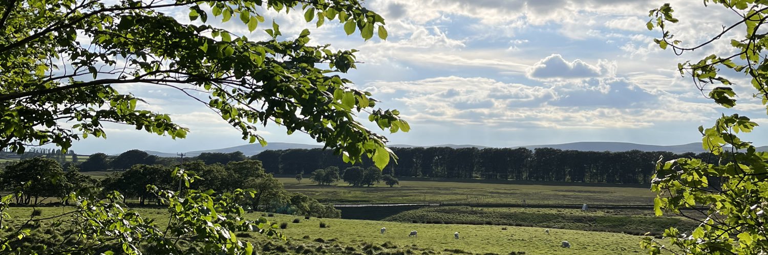 Hazel Stewart banner