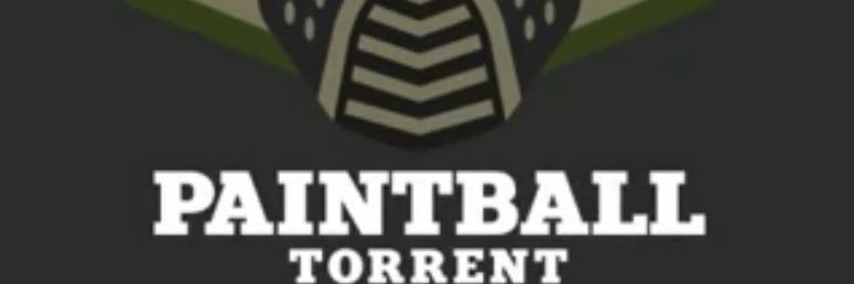 PaintbalTorrent's profile banner image