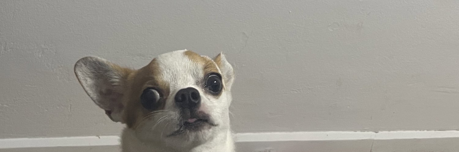 brendashard's profile banner image