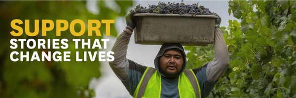 ReportingHealth Profile Banner