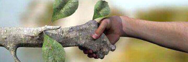 auralight54's profile banner image