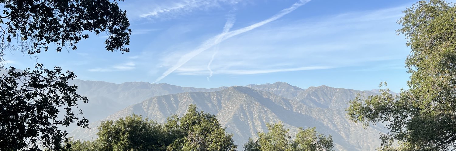 morvinho69's profile banner image