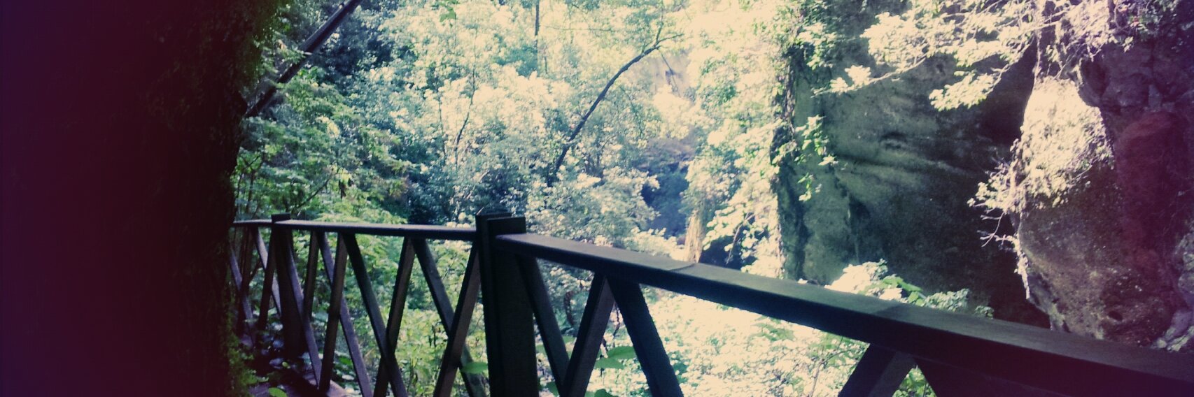 vickylittel's profile banner image