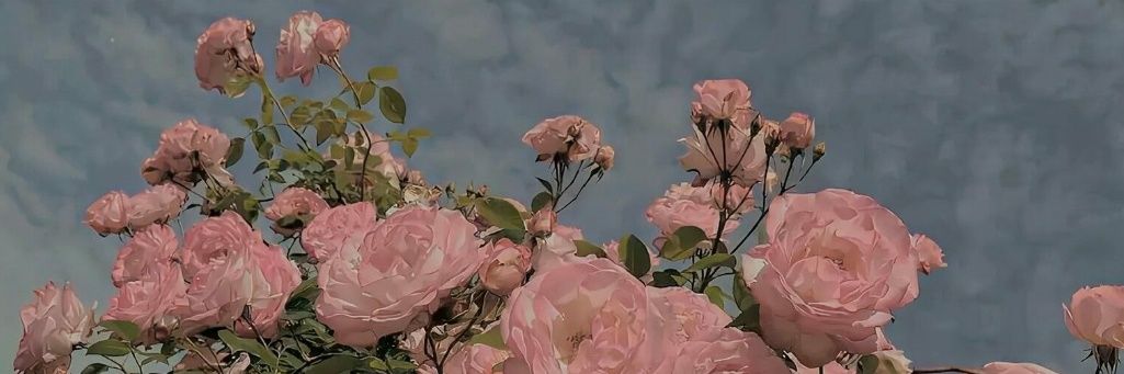 blancouuch's profile banner image