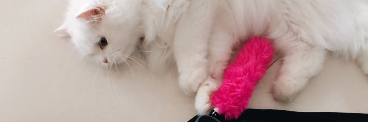 𝑏𝑎𝑏𝑦 𝑏𝑙𝑢𝑒 🧸🌈🌷☁️💖 banner