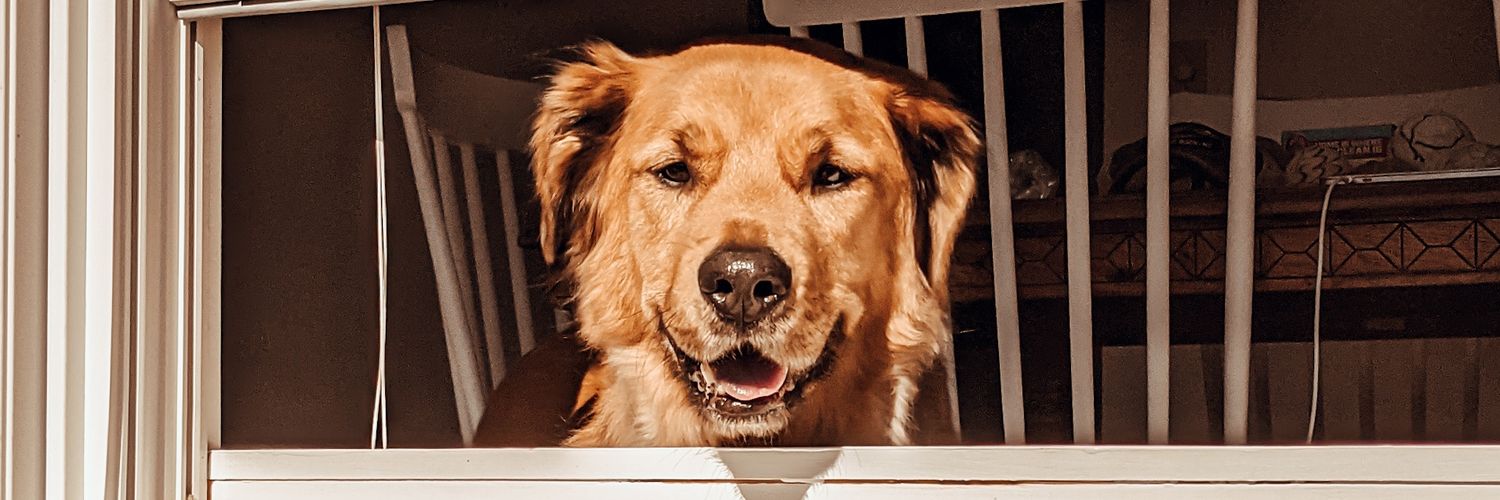 MrsWeaverBHHS's profile banner image