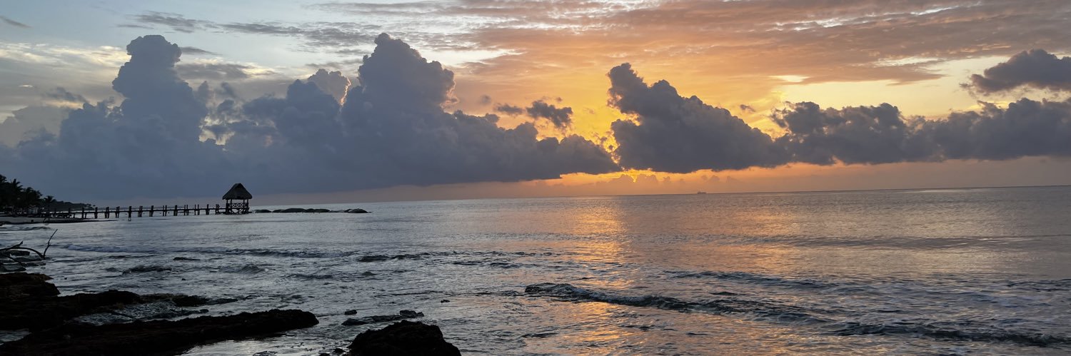 Yannick Ferrand 🍀 banner