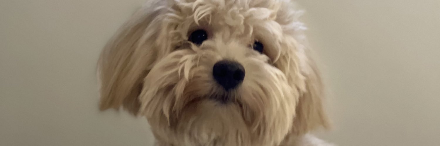 mrsjammytp's profile banner image