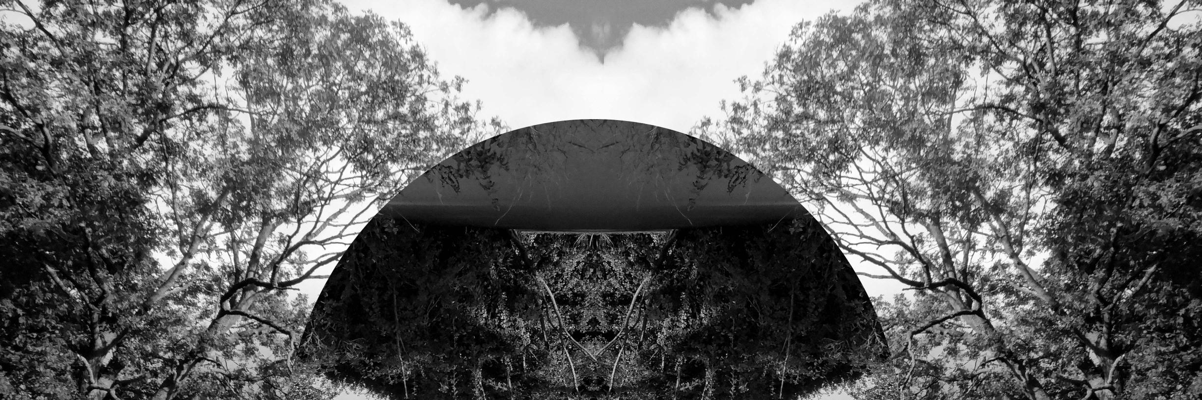 ALX_RBRT's profile banner image