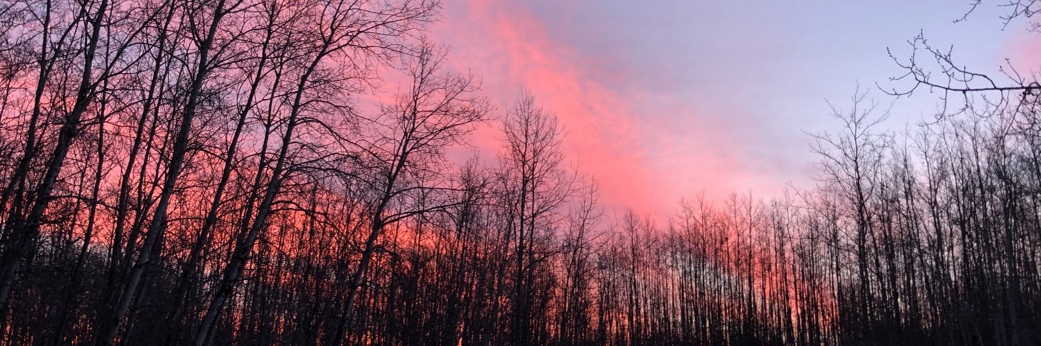 haley_nicoll's profile banner image