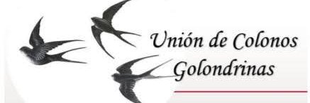 GolondrinasCol's profile banner image