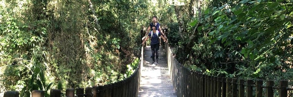 Simone, às vezes Sisi banner