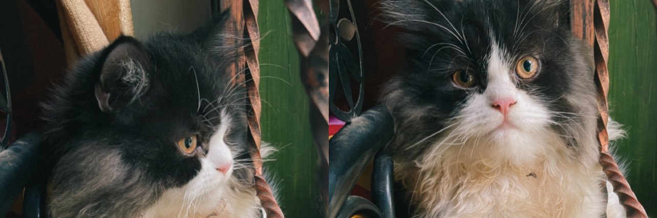 Ravel_gtf's profile banner image