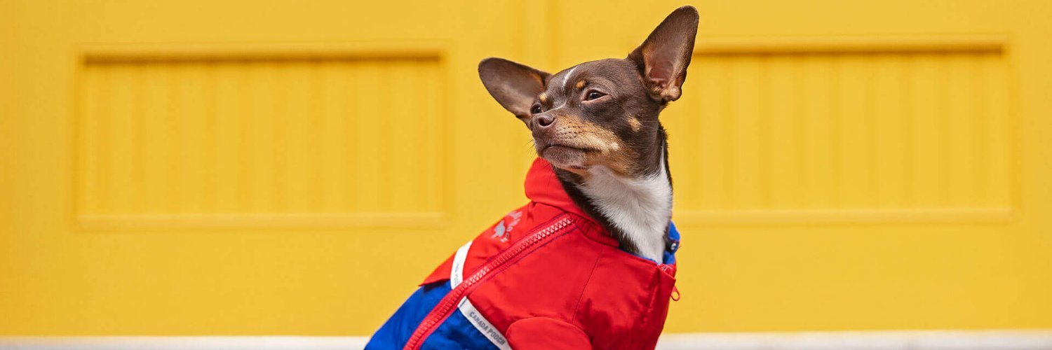 Canada Pooch Ltd. banner