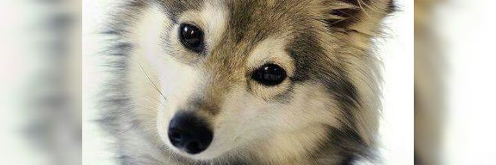 sabri_Ferr's profile banner image