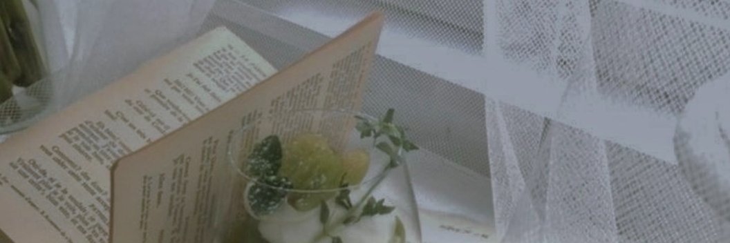 indjani's profile banner image