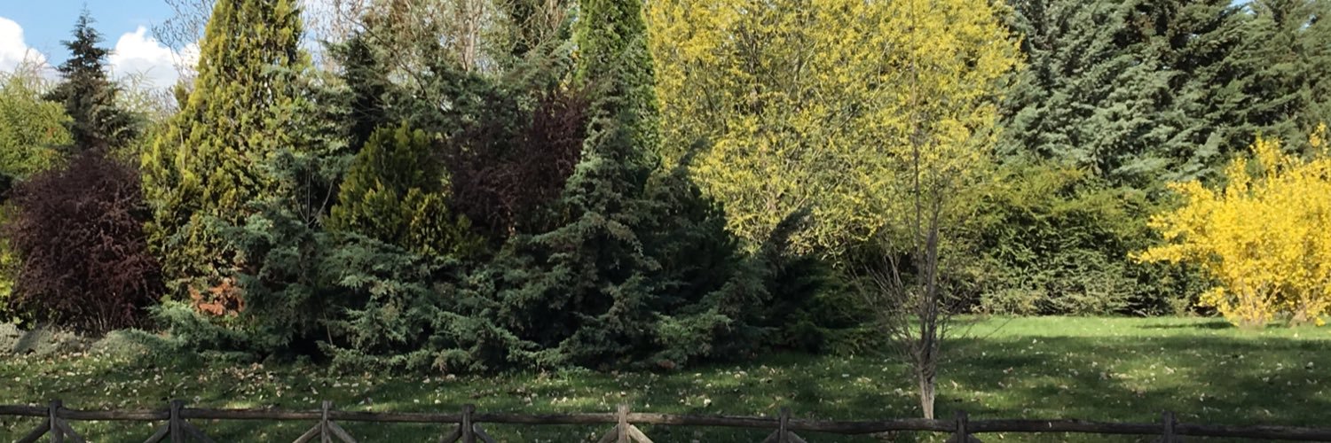 dimitriadisg's profile banner image