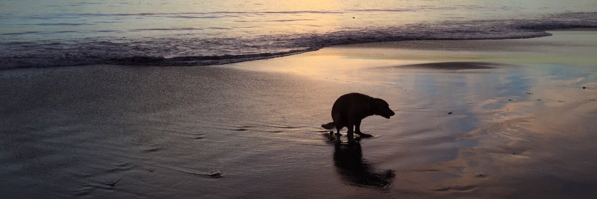 luscamh's profile banner image