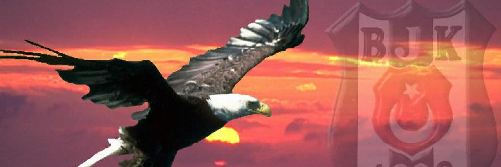 ckarakurt45's profile banner image