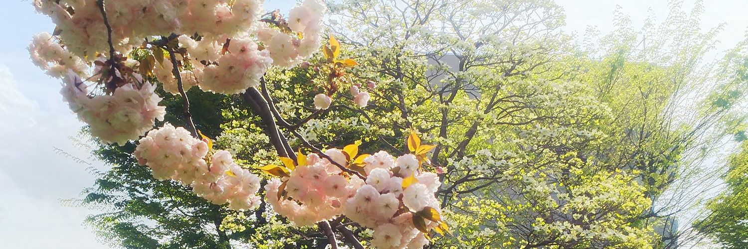 石ムグリ （YUKA（kmyyyc）） banner