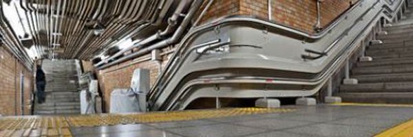 MockingMoth Profile Banner