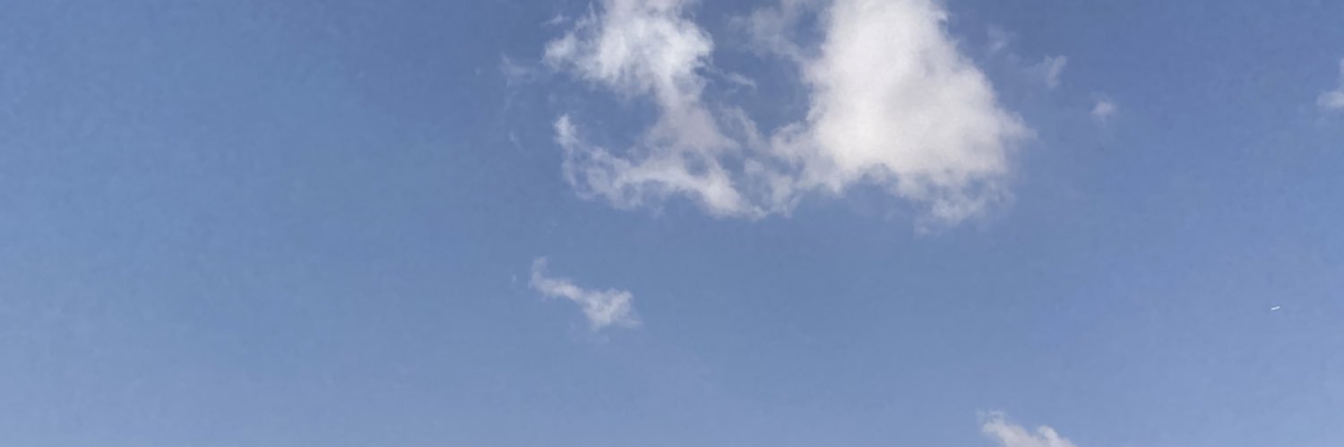 Samumuu's profile banner image