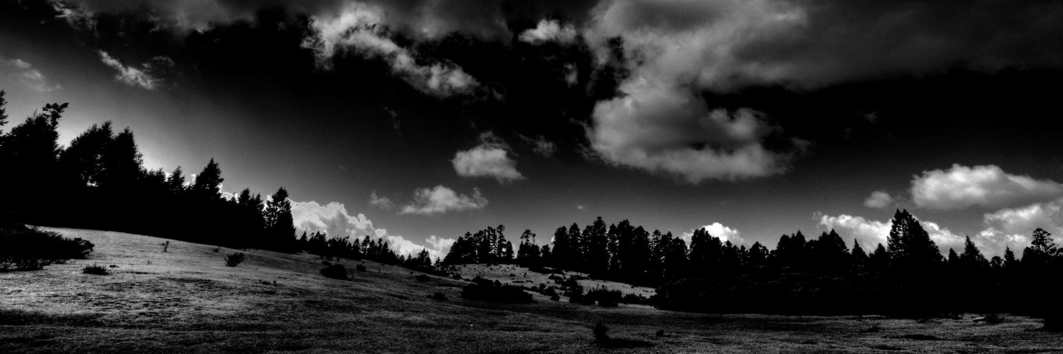MJSaenzD's profile banner image