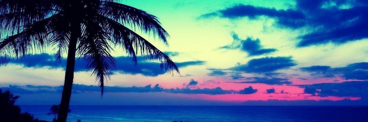 Barbara_Gonsa's profile banner image
