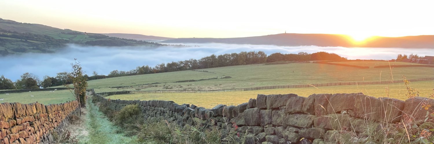 Rae Morgan banner