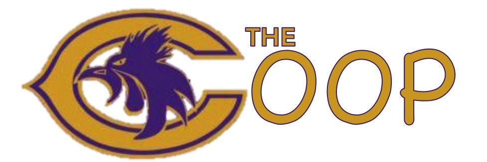 ChickHighCoop's profile banner image