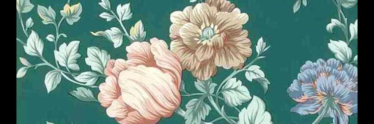 taniihopes's profile banner image