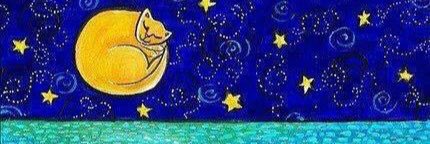 junia_tello's profile banner image