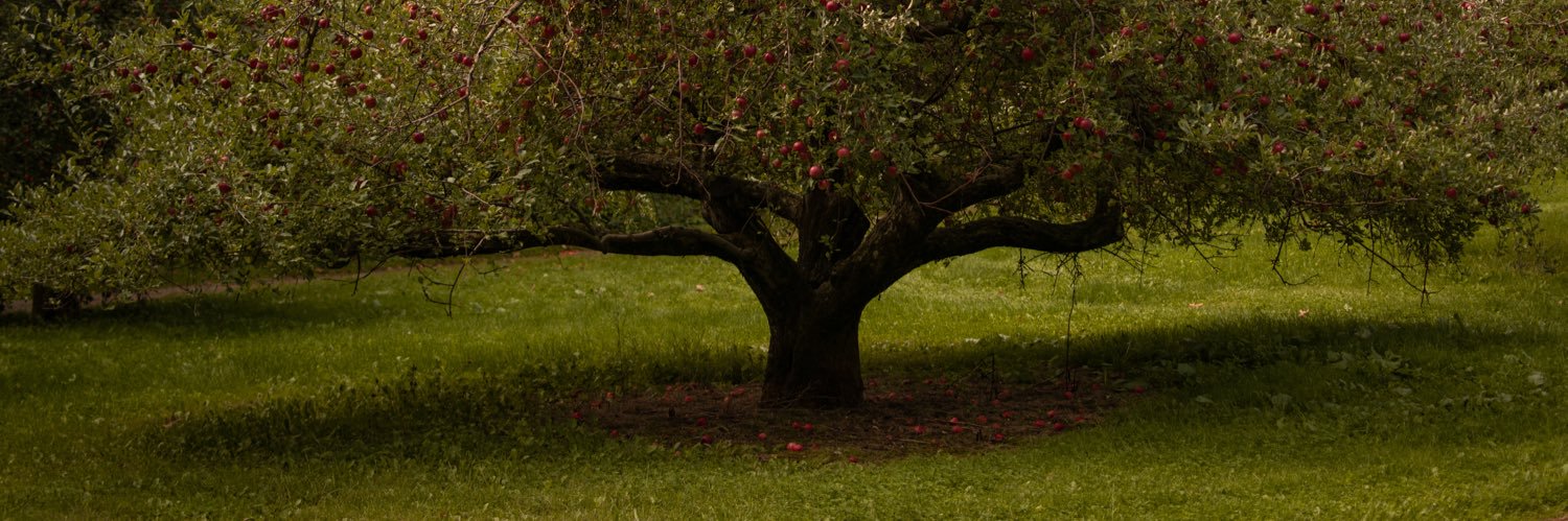 J_3558's profile banner image