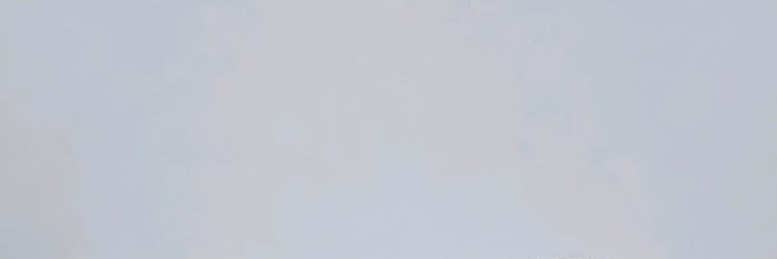 안건호 banner