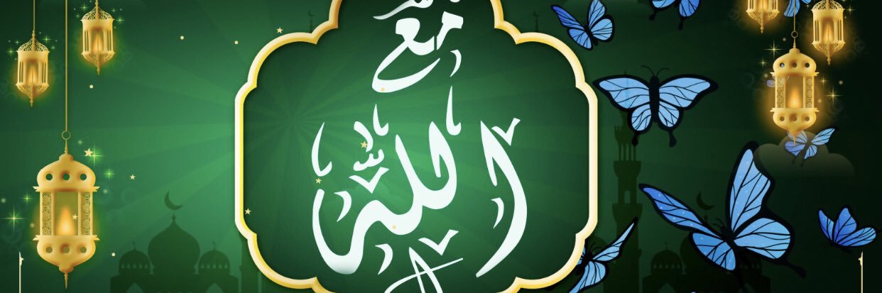 Wisdom banner