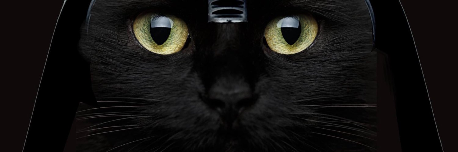diegoelloco2001's profile banner image