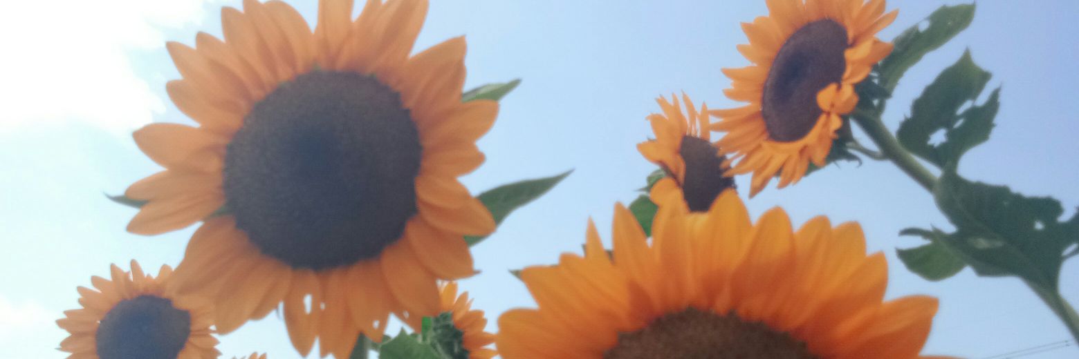 Demelyanaa's profile banner image
