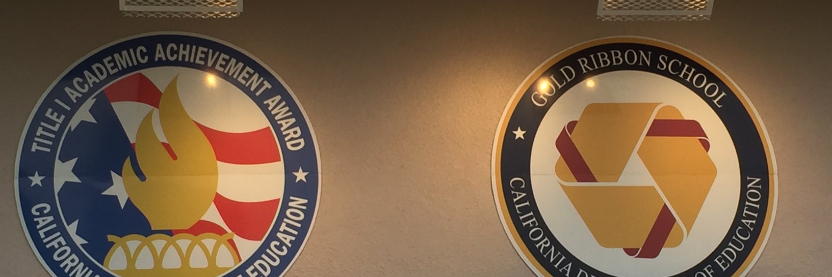 Willmore T-Birds banner