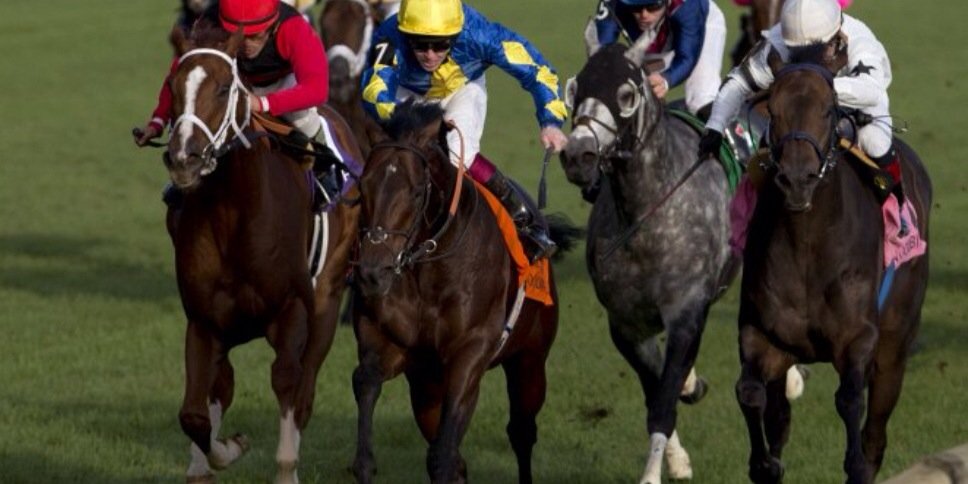 Andrew Mullen banner