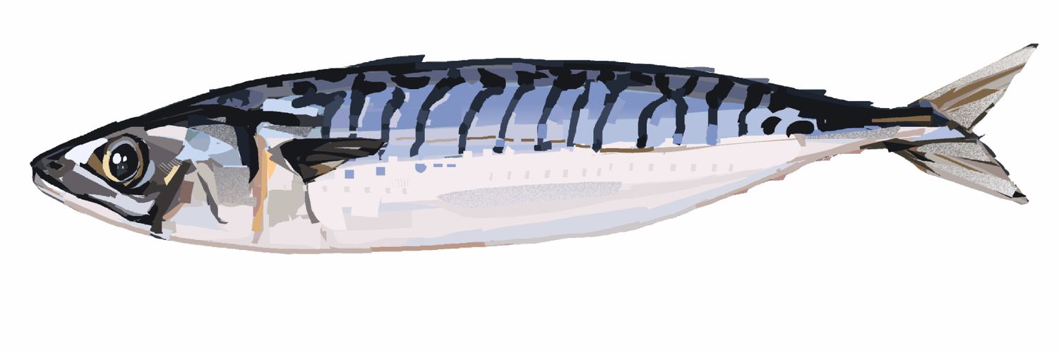 cardteetees's profile banner image