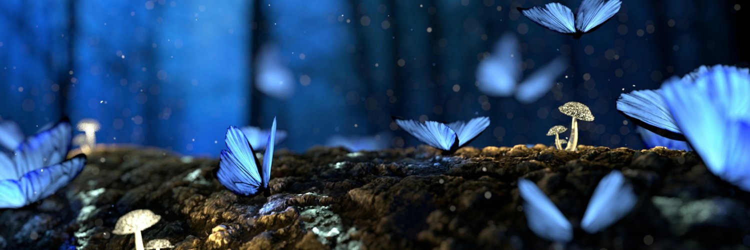 kingturk26's profile banner image