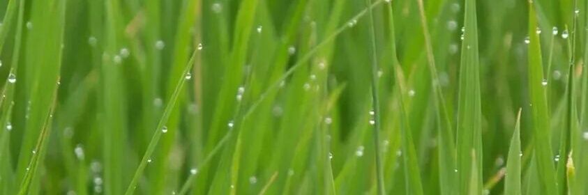 rajesh50443's profile banner image