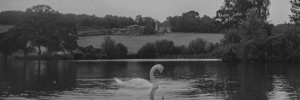 apevisions Profile Banner