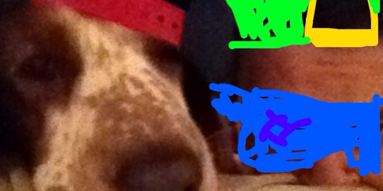 AJWiig's profile banner image