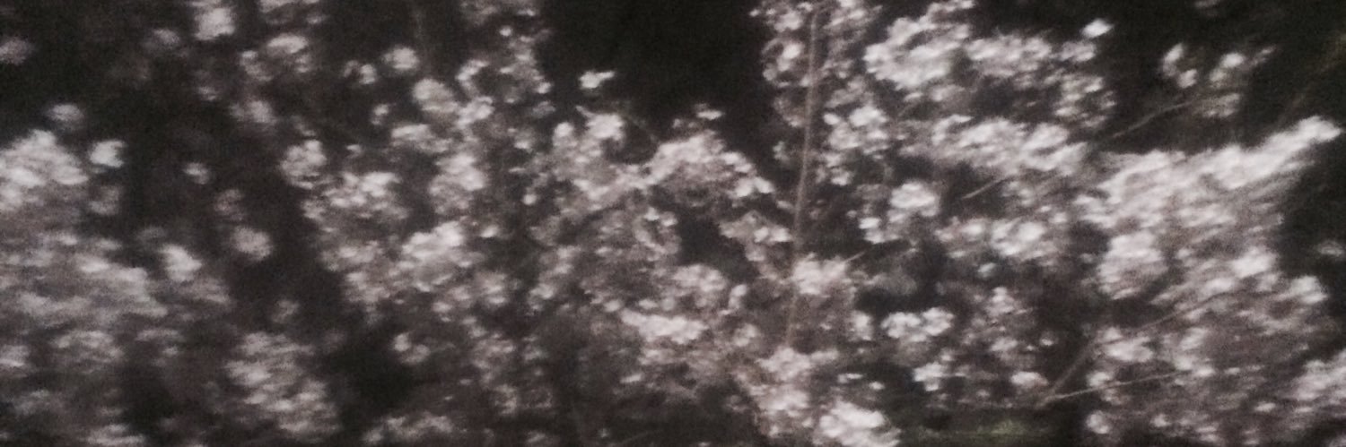 櫻華🃏🐍 banner