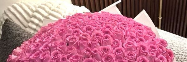 daneja__ Profile Banner