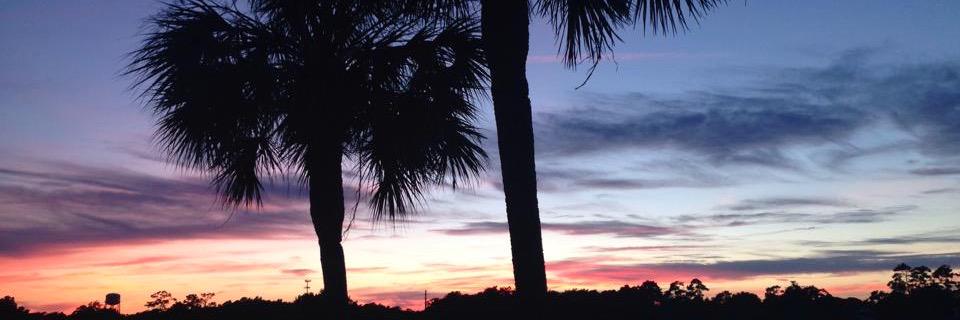 kelliiibrown's profile banner image